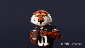 College Football GIF by DISH