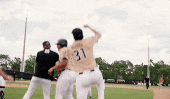 Baseball Win GIF by UCF Knights