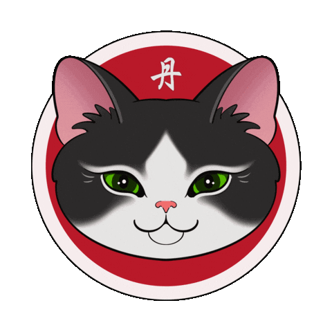Cat Kitten Sticker