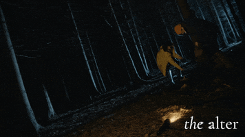 Forest Bury GIF by Swamp