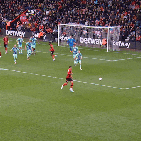 Happy Premier League GIF by AFC Bournemouth