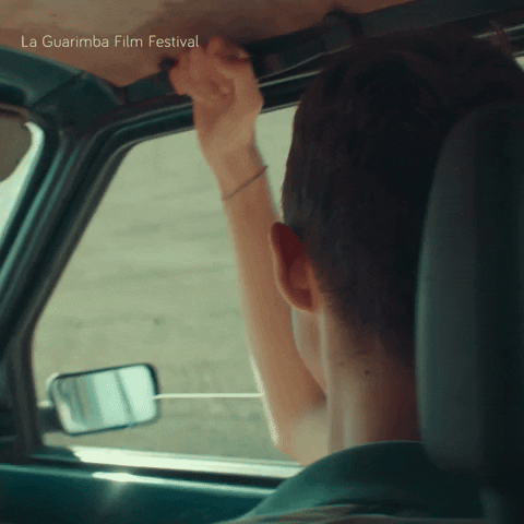 Driving Lets Go GIF by La Guarimba Film Festival
