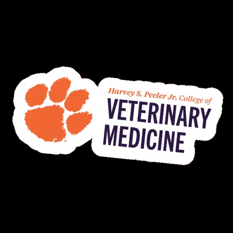 Clemson University Sc GIF by Clemson Vet Med