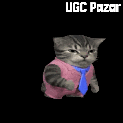 Cat Wtf GIF by UGCPazar