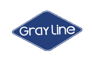 Sightseeingeverywhere Sticker by Gray Line