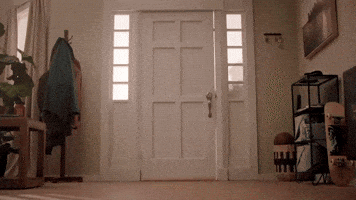 Snl GIF