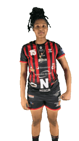 ogcnicehandball Sticker