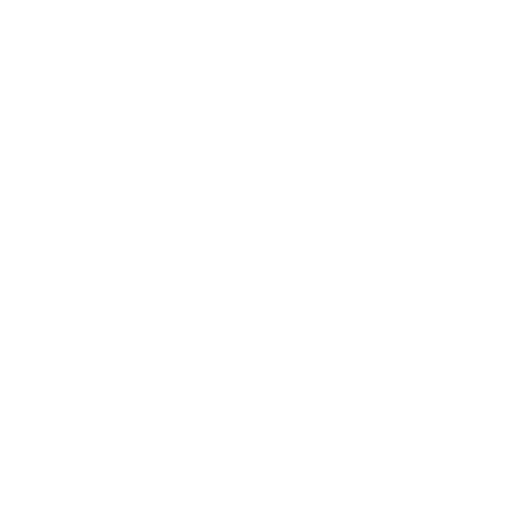 Car Detailing Sticker by Esteticar