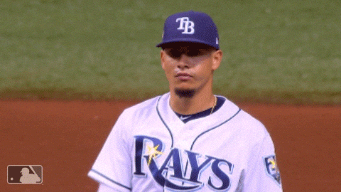Rays Tampa GIF - Rays Tampa Bay - Discover & Share GIFs