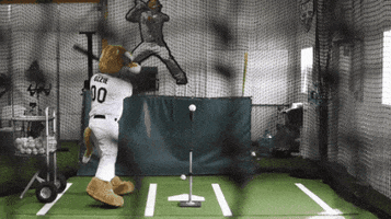 bat flip your cougars GIF by Kane County Cougars
