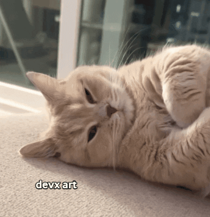 Waking Up Cat GIF by DevX Art