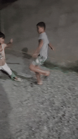 Kunte GIF