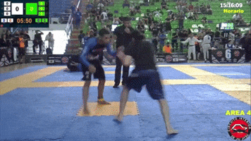 Wrestling Grappling GIF by Dalvan Ferraz