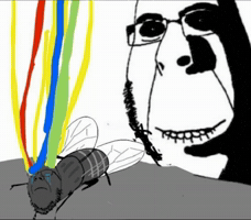 Fly Brain GIF