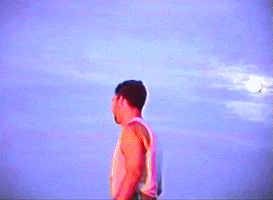 200.gif?cid=fc005b08456f787180e396461b15ad9d0712b384e23b015b&rid=200.gif&ct=g