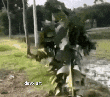Banana Tree Leaf GIF by DevX Art