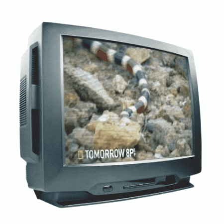 Nat Geo 90S GIF