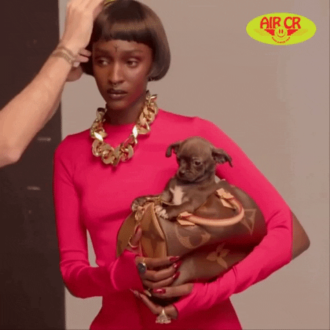 Louis-vuitton-handbag GIFs - Get the best GIF on GIPHY