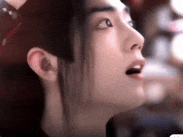 The Untamed Mdzs GIF