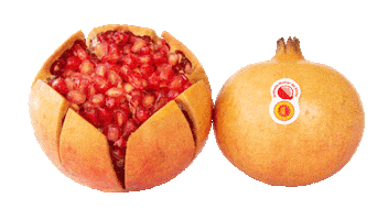 MARFRUIT Sticker
