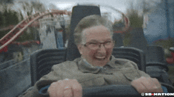 roller coaster GIF