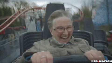 roller coaster GIF