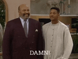 TV gif. Will Smith as Will and James Avery as Phillip in The Fresh Prince of Bel-Air. The two men look at each other with a smile and say, "Damn!" in unison.