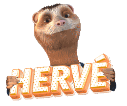 lesfurets Sticker