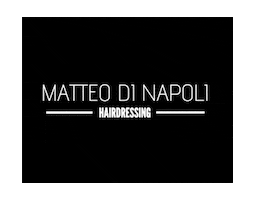 matteodinapoliit Sticker