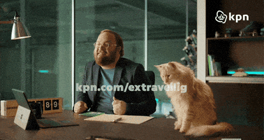 Game On GIF by KPN - Find & Share on GIPHY