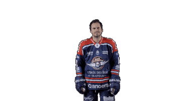 Ducs Dangers Hockey Sticker by Les Ducs d'Angers