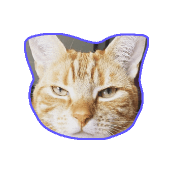 Animated Sticker