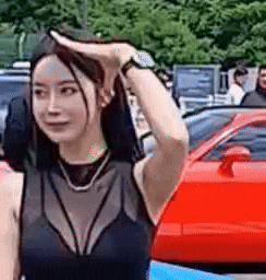 Model GIF