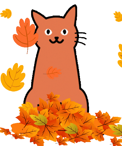Cat Fall Sticker by respekTiere e.V.