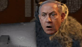 Bibi GIF