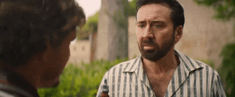 Nicolas Cage What GIF by The Unbearable Weight of Massive Talent