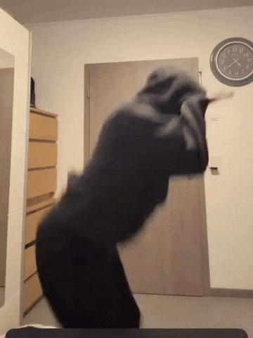 Jasswedd GIF