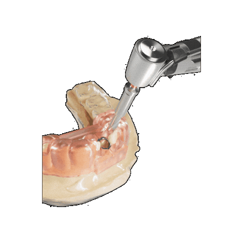 Guide Dentis Sticker by JOY