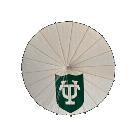 Tulane Graduation Sticker by Tulane University
