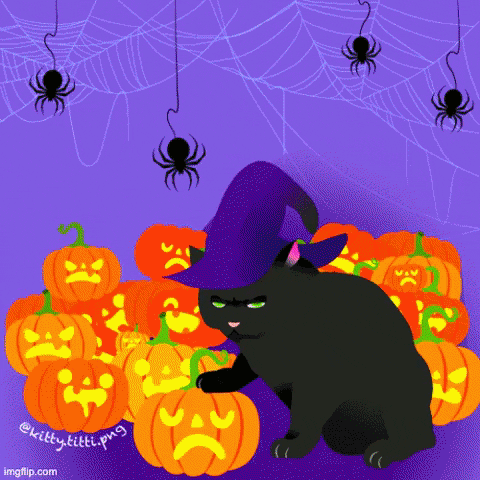 kitty_titti halloween black cat jack o lantern pumpkins GIF