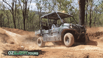 OzBuggy_Tours GIF