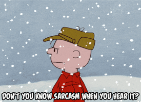 Peanuts gif. An angry Charlie Brown, standing in the falling snow says, “Don't you know sarcasm when you hear it?”