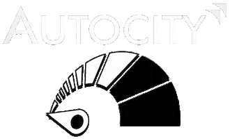 Autocity Sticker