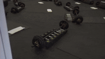 GIF by TRIUMPH STUDIO