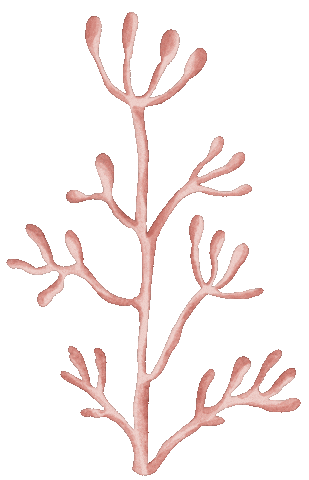 Under The Sea Illustration Sticker