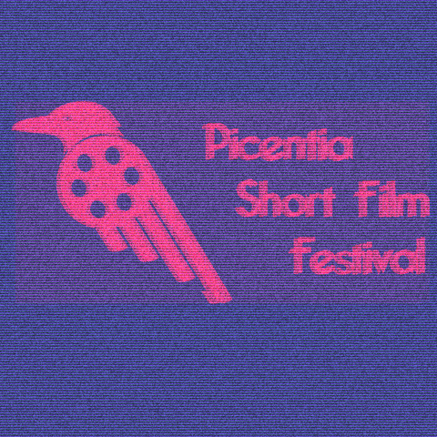 picentiashortfilmfeestival short film film festival picentia GIF