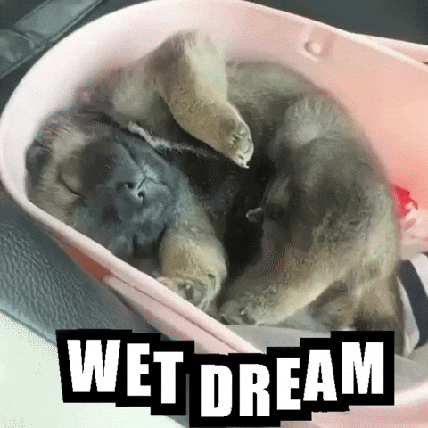 Sleep Hello GIF