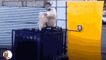 experience being GIF