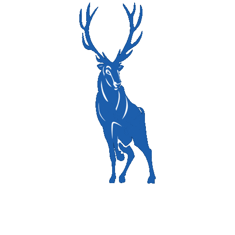 Bishop Miege Catholic High School Sticker