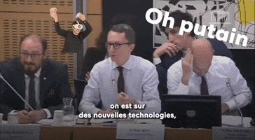 France Nft GIF by Pour un réveil écologique
